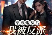 完结版《穿成炮灰后，我被反派夫人拉黑了》免费阅读-够力荐小说推荐网