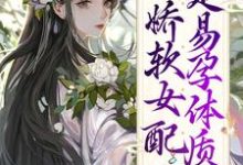 容清浅洛景澈的故事在哪本书里?免费阅读生子系统:娇软女配是易孕体质!-够力荐小说推荐网