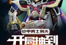夏飞杨欢迎为主角的小说叫什么？免费看铠甲勇士刑天：开局抽到修罗铠甲-够力荐小说推荐网