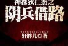 神探狄仁杰之阴兵借路小说,神探狄仁杰之阴兵借路狄仁杰李元芳袁客师-够力荐小说推荐网