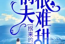 时漾傅景川小说在哪里可以看-够力荐小说推荐网