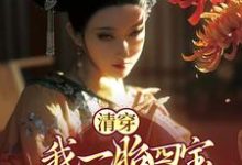 主角胤礽若水小说清穿:我一胎四宝,被废太子登基了免费阅读-够力荐小说推荐网