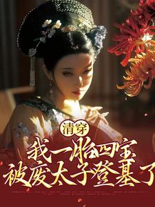 主角胤礽若水小说清穿：我一胎四宝，被废太子登基了免费阅读