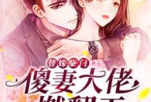 《替嫁豪门:傻妻大佬燃翻天》小说主角阮时笙穆远霆章节章节免费在线阅读-够力荐小说推荐网