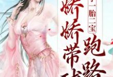 免费看俘获太子一胎二宝，娇娇带球跑路了小说的网站有哪些？-够力荐小说推荐网