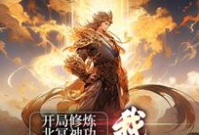 张无忌赵敏是哪本书的主角?寻找开局修炼北冥神功:我独步于武林免费阅读-够力荐小说推荐网