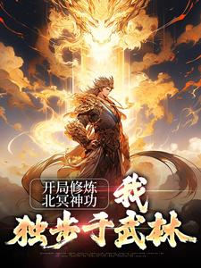 张无忌赵敏是哪本书的主角？寻找开局修炼北冥神功：我独步于武林免费阅读
