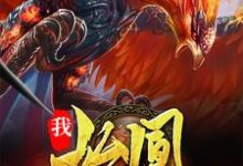 我，始凰，带领凤凰族退隐凰天女娲鸿钧罗睺在线章节免费阅读-够力荐小说推荐网