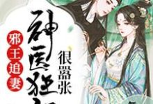 凌瑜萧霖天是哪本书的主角？寻找邪王追妻：神医狂妃很嚣张免费阅读-够力荐小说推荐网