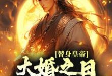 小说《替身皇帝，大婚之日假戏真做了》章节阅读-够力荐小说推荐网