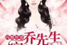 闪婚厚爱,乔先生穷追不舍小说全文阅读需要付费吗?寻找免费资源-够力荐小说推荐网