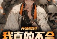 万穗林西辰为主角的小说好看吗？免费读天师降世：我真的不会法术啊！-够力荐小说推荐网