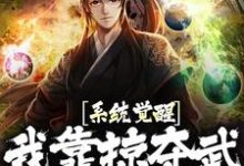 宁越小说叫什么(系统觉醒!我靠掠夺武魂无敌了免费阅读)-够力荐小说推荐网