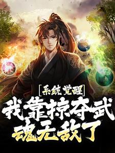 宁越小说叫什么（系统觉醒！我靠掠夺武魂无敌了免费阅读）