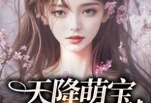 天降萌宝,妈咪独宠我小说,天降萌宝,妈咪独宠我元宝陆婉令-够力荐小说推荐网