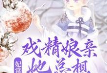 免费看妃常难养:戏精娘亲她总想独自美丽小说的网站有哪些?-够力荐小说推荐网