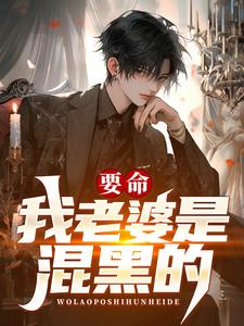 小说《要命！我老婆是混黑的？》在线章节阅读