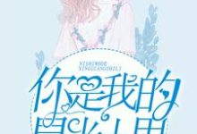 你是我的星光十里小说免费资源，你是我的星光十里在线阅读-够力荐小说推荐网
