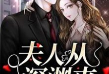 夫人从深渊来小说阅读,夫人从深渊来完结版-够力荐小说推荐网