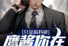 只是搞科研,鹰酱你在怕什么?小说有没有完整的免费版本在线阅读?-够力荐小说推荐网