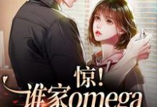 《惊！谁家omega这么会钓人啊》小说章节列表免费试读，林缺裴聿川小说在线阅读-够力荐小说推荐网
