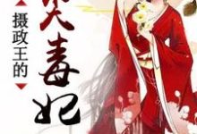 小说《摄政王的心尖毒妃》章节阅读-够力荐小说推荐网