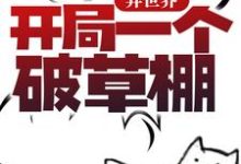 异世界：开局一个破草棚章节免费在线阅读，白小林完结版-够力荐小说推荐网