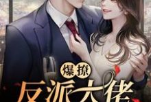 求推荐可以免费阅读爆撩!反派大佬别太爱小说的网站-够力荐小说推荐网