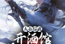 苏晨小说《人在综武开酒馆,喝了能入仙》在线阅读-够力荐小说推荐网