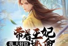 王土旺是哪本书的主角?寻找我,大奸臣,带着王妃逃命很合理啊免费阅读-够力荐小说推荐网