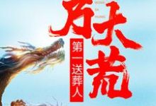 叶天小说在线章节免费阅读(我乃大荒第一送葬人无弹窗无删减)-够力荐小说推荐网