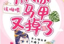 寻找能够免费阅读夫人你马甲又掉了小说的平台-够力荐小说推荐网