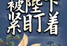 免费看小太监她被陛下紧盯着小说的网站有哪些?-够力荐小说推荐网