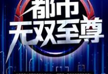 已完结小说《都市无双至尊》最新章节-够力荐小说推荐网