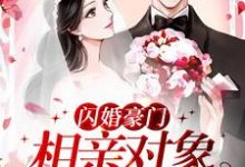 小说《闪婚豪门:相亲对象是大佬》章节免费阅读-够力荐小说推荐网