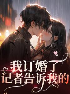 小说《我订婚了，记者告诉我的》章节阅读