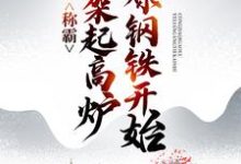 完整版的称霸:从架起高炉冶炼钢铁开始小说在哪里可以免费读到?-够力荐小说推荐网