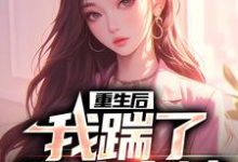 男女主人公叫沈昭衍周嫣晨的小说免费资源-够力荐小说推荐网
