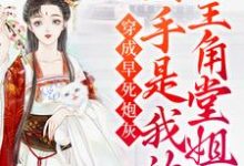 《穿成早死炮灰,凶手是我的主角堂姐》全集免费在线阅读(林诗语)-够力荐小说推荐网