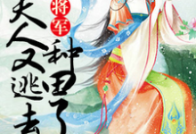 海棠盛睿泽段晋辰的小说在哪里看？免费在线阅读将军，夫人又逃去种田了-够力荐小说推荐网