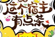 快穿这个宿主有点茶小说无弹窗阅读的网站推荐-够力荐小说推荐网