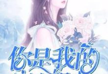 你是我的空空如也小说有没有完结版在线？-够力荐小说推荐网
