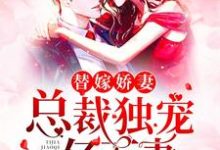 小说《替嫁娇妻：总裁独宠亿万妻》章节阅读-够力荐小说推荐网