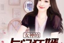 女神的上门狂婿小说有没有完结版在线?-够力荐小说推荐网