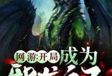 网游：开局成为邪龙之子小说阅读，网游：开局成为邪龙之子完结版-够力荐小说推荐网