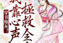 陆朝朝陆元宵小说叫什么（穿书炮灰？我靠心声拯救全家免费阅读）-够力荐小说推荐网