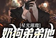 星光璀璨:奶狗弟弟他宠妻无度鹿良辰江屿柠小说大结局免费试读-够力荐小说推荐网