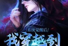 小说《系统觉醒后,我穿越到了异世界》章节免费阅读-够力荐小说推荐网