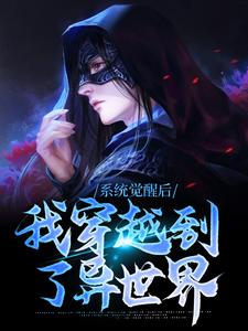 小说《系统觉醒后，我穿越到了异世界》章节免费阅读