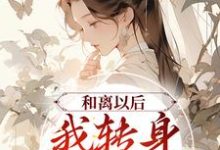 和离以后,我转身改嫁权贵小说的所有章节都能在哪里免费读到?-够力荐小说推荐网